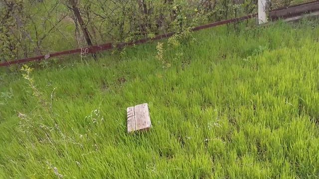 Деревенские будни/Сделали свет/Развесили ковры/и др. :)