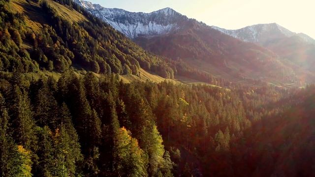 Звуки природы: дыхание гармонии #7