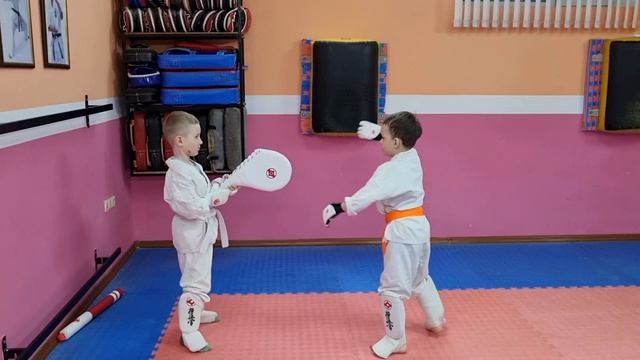 Трудовые будни каратиста 254.