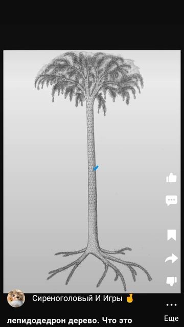 как посмотреть описание в Shorts видео.