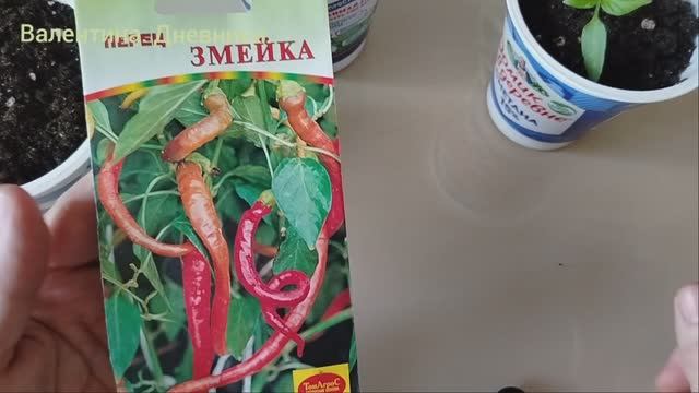 Сладкий перец 