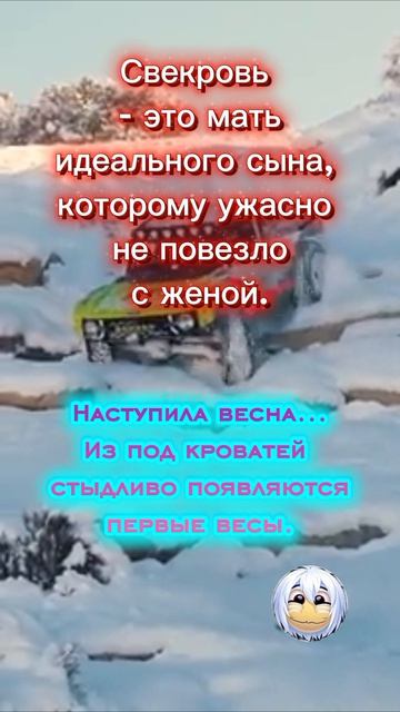 анекдоты 21-04-2026