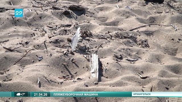 21_04_26 Уборка пляжа