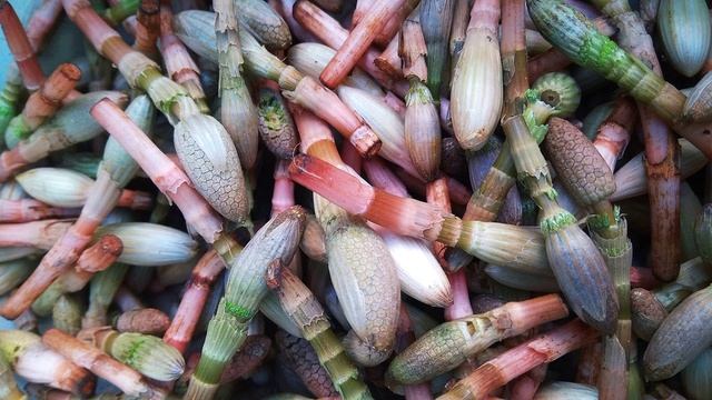 П. Коэльо. О поисках любви. Притча 54. Книга Воина Света