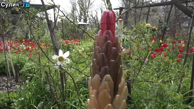 Тюльпаны повсюду