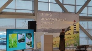 Насекомые на Камчатке