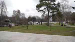 Королёв присоединился к акции «Сад памяти»: в городе высадят более 600 деревьев