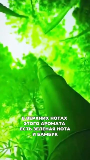 MOV_20260421_113135_318.mp4