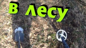 Прогулка в лесу. Поиск грибов и Поиск с металлоискателем