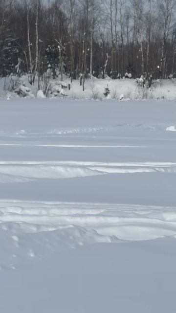 Первые попытки