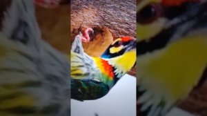 протяни руку- подставят подножку