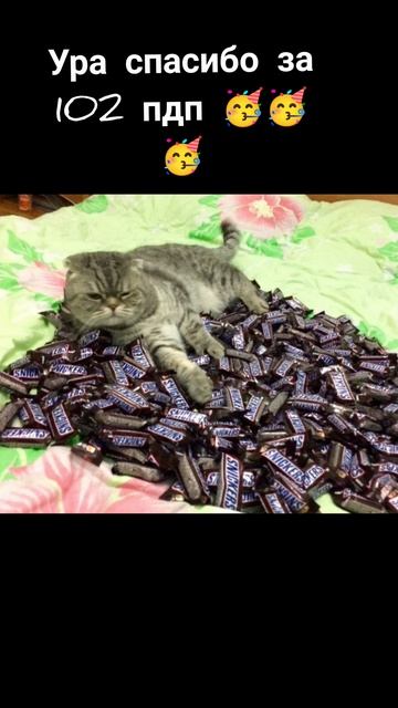 СПАСИБО ЗА 102 ПДП 🥳🥳💖💖💖💝💝💝