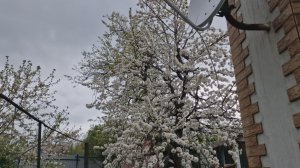 Сколько электроэнергии "наэкономил"  за месяц