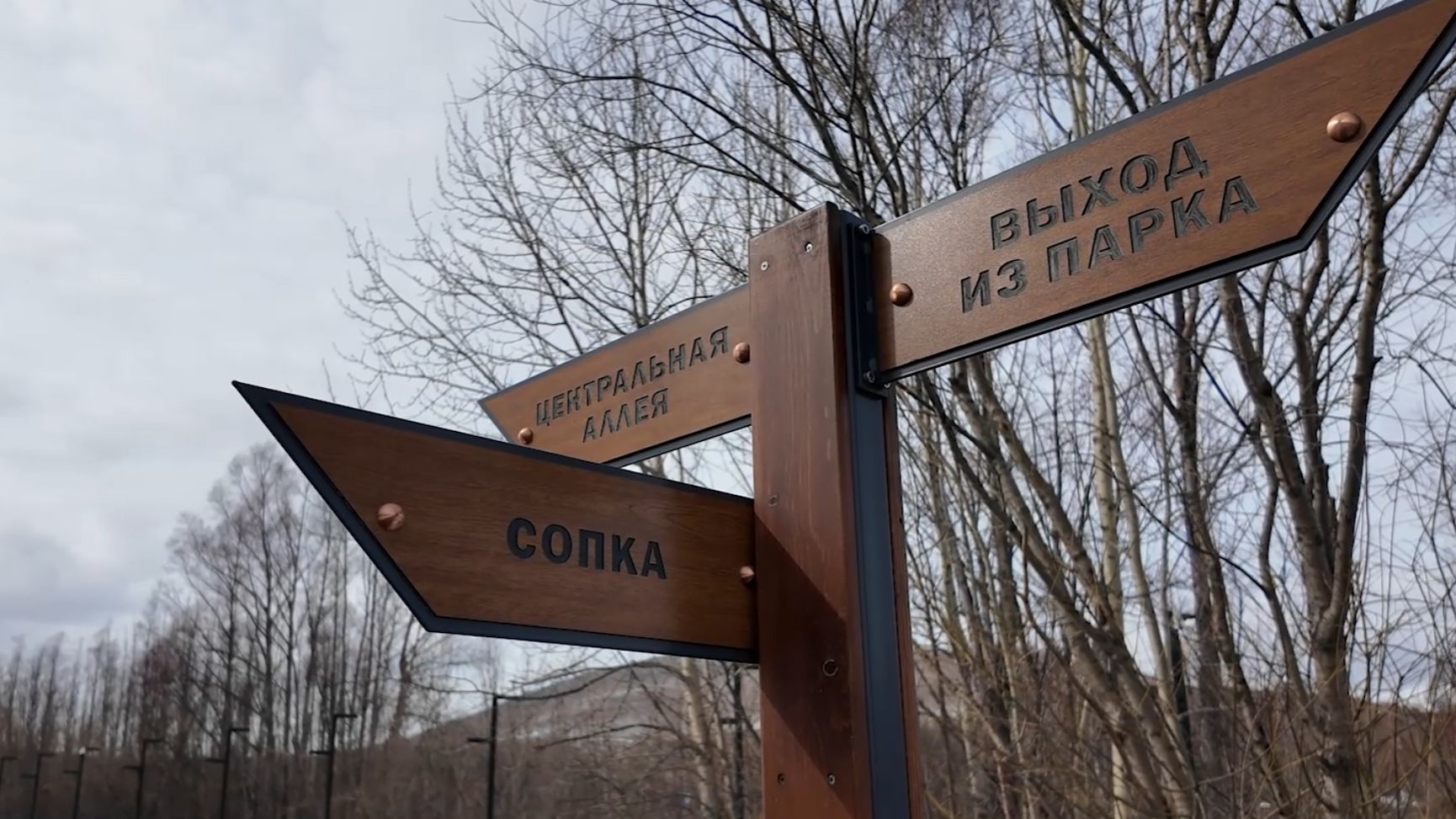 ПРОШЛИ ПРОВЕРКУ