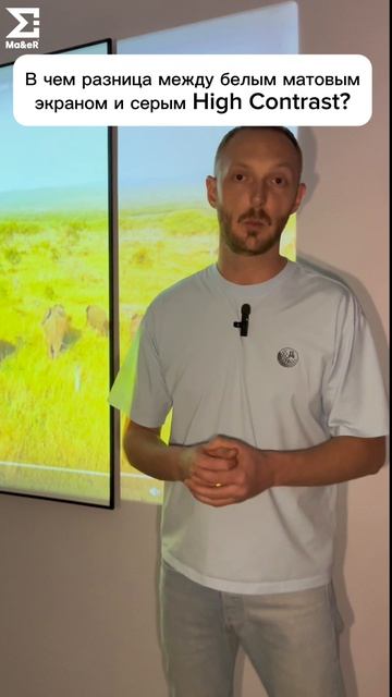 В чем разница между белым матовым экраном и серым High Contrast?