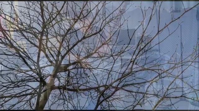 Анатолий Кулагин - Возвращение Птиц Перелётных