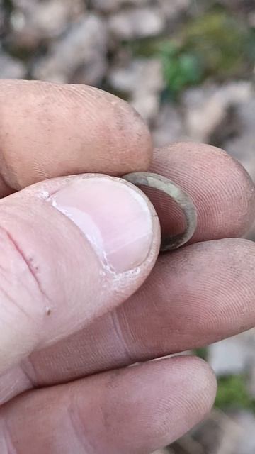 Нашли малюсенькое колечко #shorts #находки #metaldetecting #finds #металлоискатель