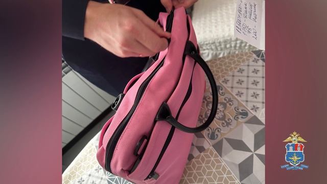 В Ростовской области транспортные полицейские пресекли незаконную банковскую деятельность