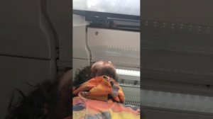 Поездки в общественном транспорте | 21-апр-2026 2