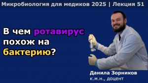 Ротавирусы