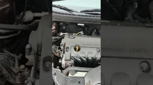 1000661798.mp4