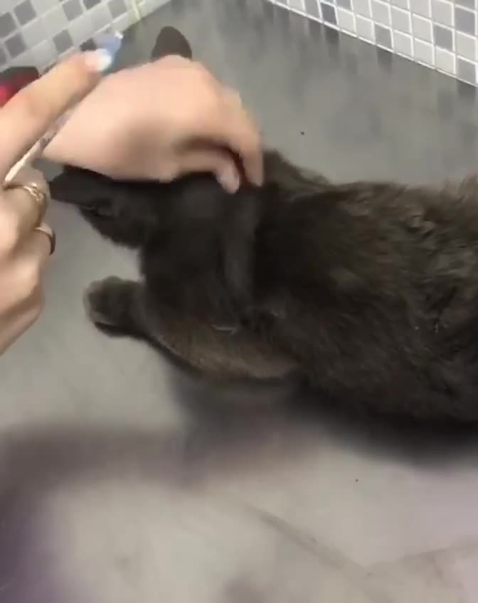 Сегодня у нас случилась беда…