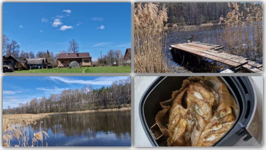 ПРИГОТОВИЛА ОКУНЯ В АЭРОГРИЛЕ И ПОШЛА ГУЛЯТЬ.