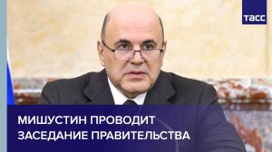 Мишустин проводит заседание правительства