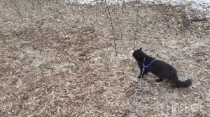 На улице хорошо.