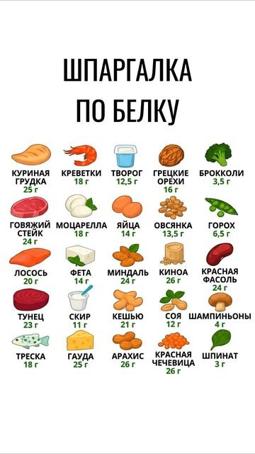 25 продуктов с высоким содержанием белка