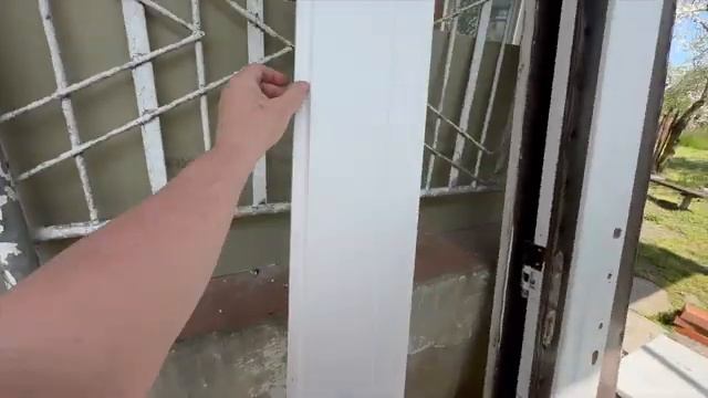 Жизнь вне орхидей. день начался с приятного СОБЫТИЯ в доме на Юге