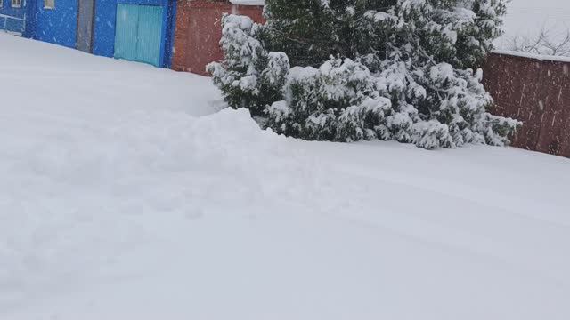 Вспомним зимнюю пору... 21 апреля...С Радоницей