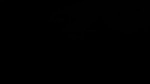 Звёздочка Александр Маматовский