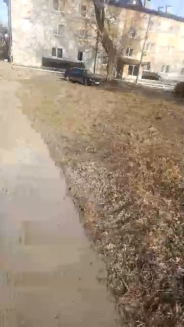 Барнаул, прогулка по городу