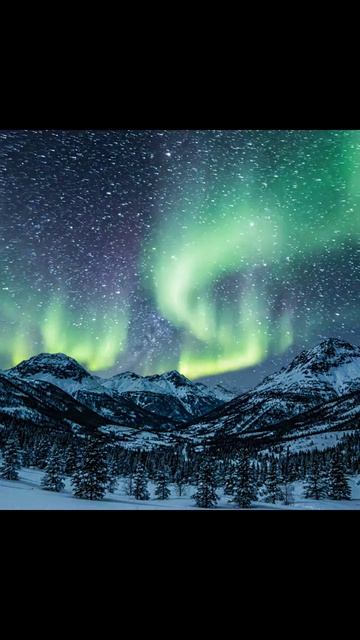 Северное сияние #зимние ночи #север #природа #красота планеты