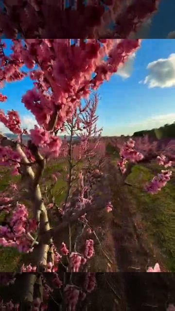 Путешествуй и зарабатывай вместе с нами🌏