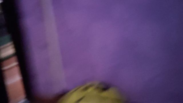 Я с Валерой и Желтобрюхом играю в прятки, я ведущая✌️🩷