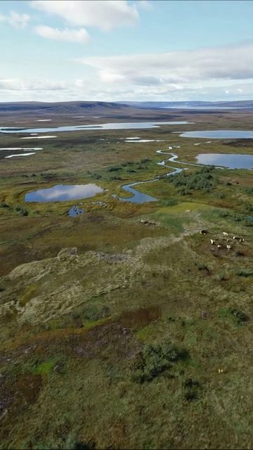 Природа в пустыне: красота северных водоемов #природа #пейзаж #документалистика