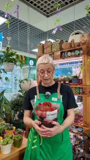Удобрения для цветения. Чем подкормить, чтобы каланхоэ зацвело?