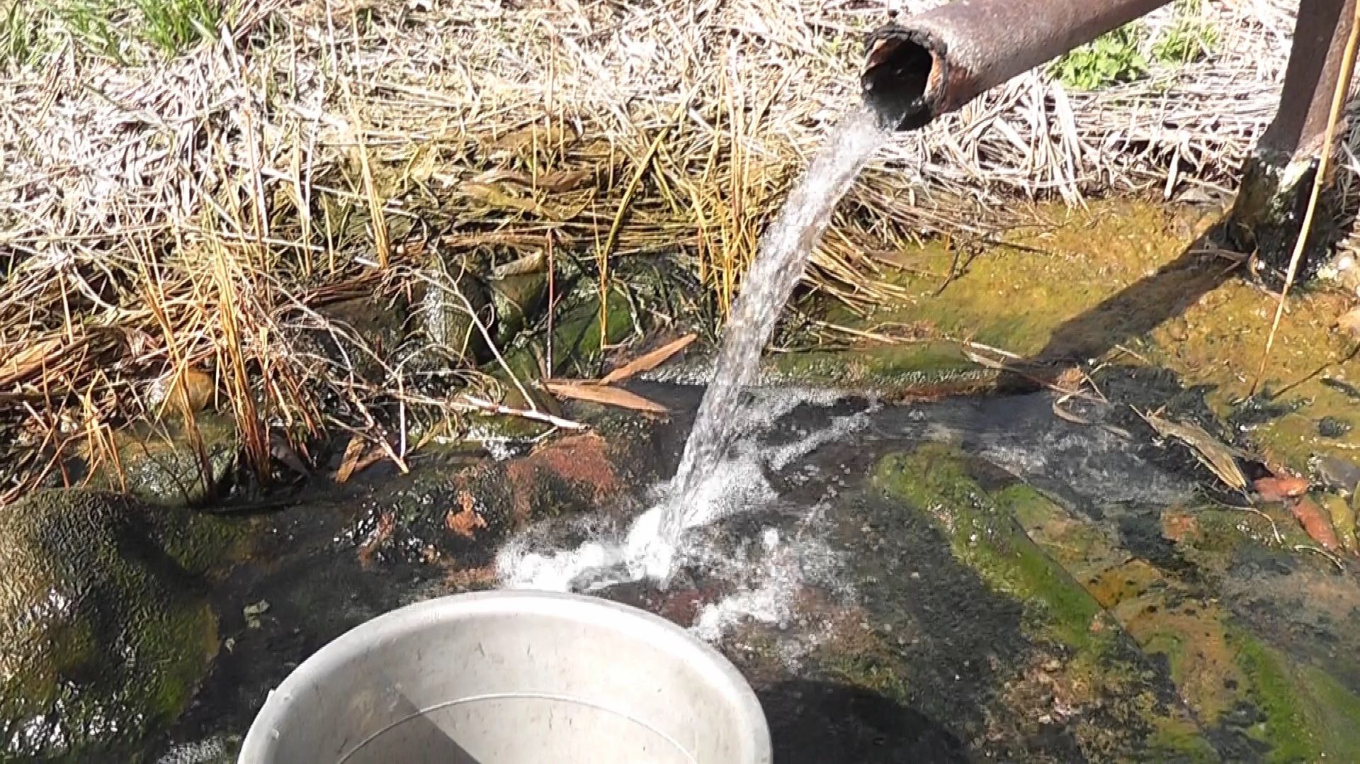 У термального источника.