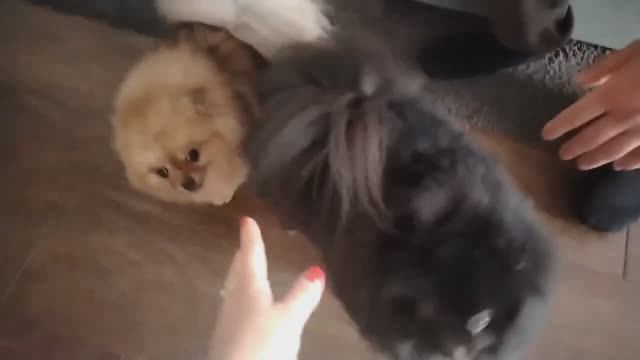 В субботу в гостях у друзей ,в воскресенье  купили обои и на квартиру)))