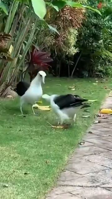 Интересно кого обсуждают