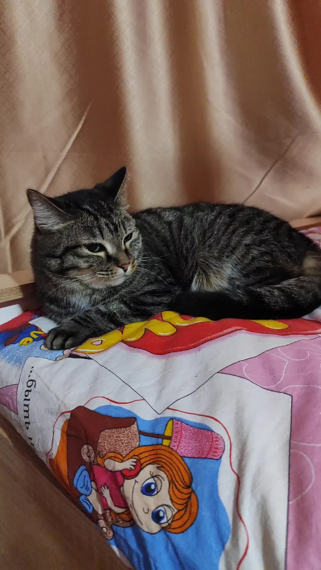 доброй ночи