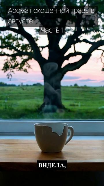 Аромат скошенной травы в августе / Часть 1 / Грустные рассказы / Истории из жизни
