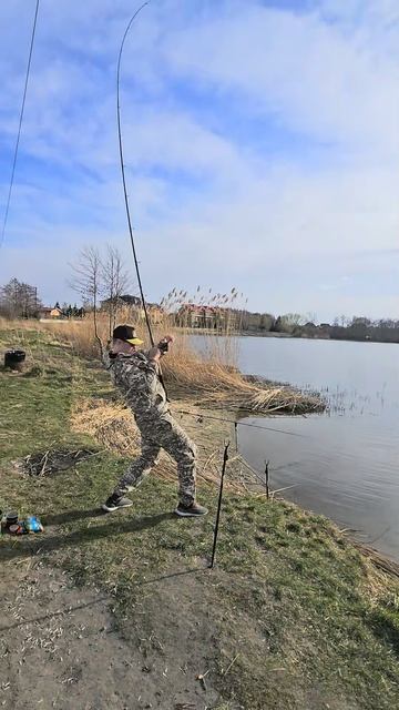 КАК ПРАВИЛЬНО ПОДСЕКАТЬ РЫБУ! #рыбалка #клёв #фидер #Текомуза30 #калининград