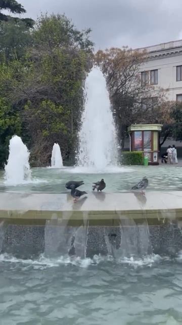 Ялта 💖💖💖