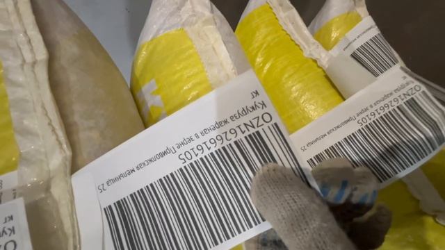 Хоругвино 2000038788202