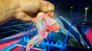 ЗА ТАКУЮ РЫБУ СРАЗУ ПОСАДЯТ ⁉️⁉️рыбалка на Дону ловля сома сазана