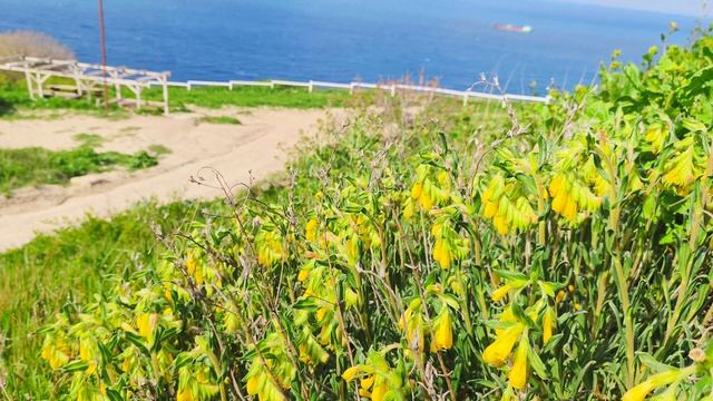 Анапа Сегодня 21.04.2026