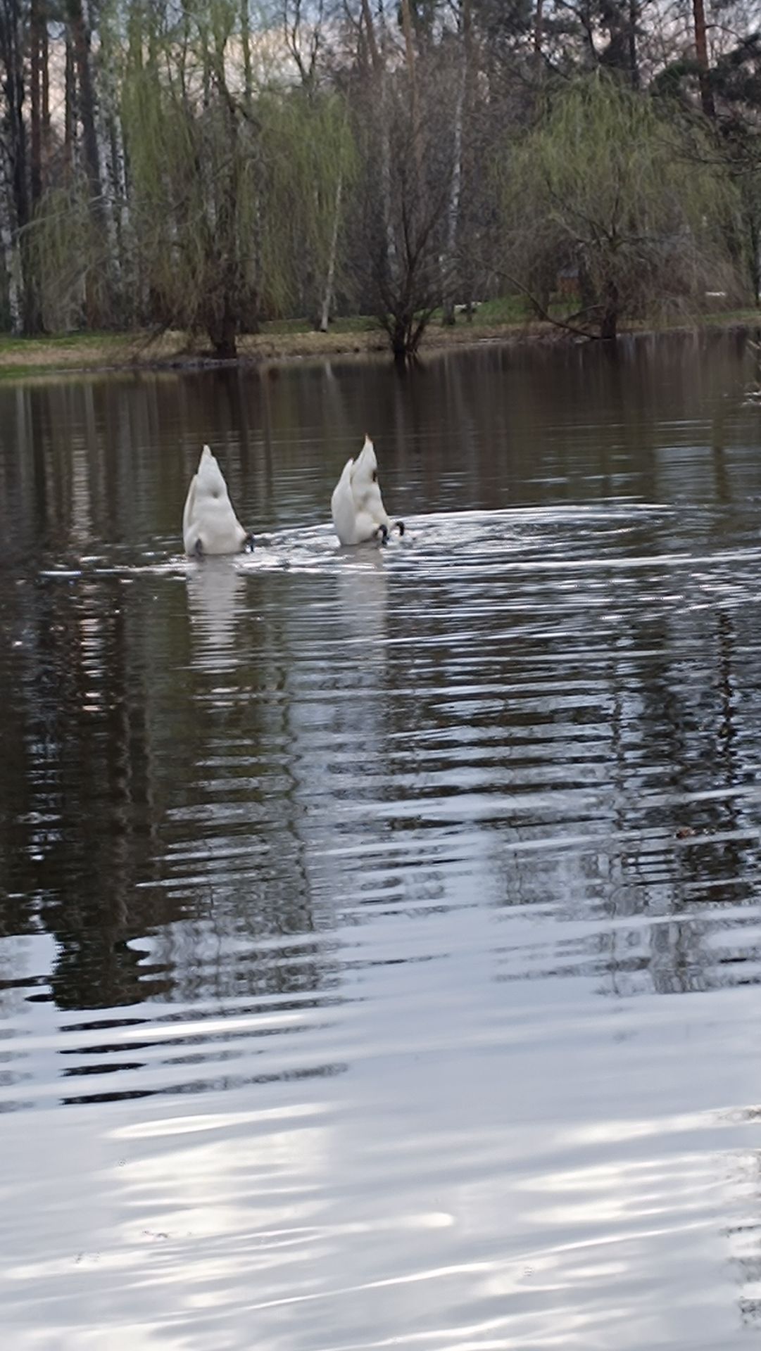 Они вернулись 👀👍🚀